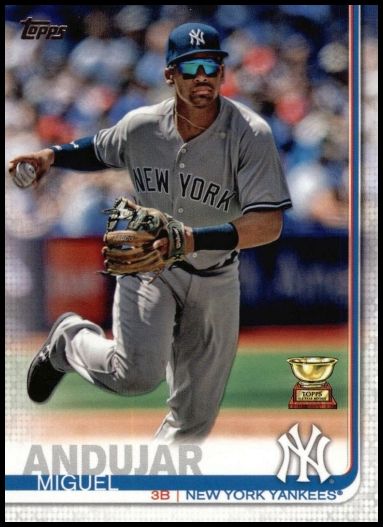 132 Miguel Andujar